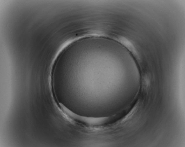 X0000088151334200705211148