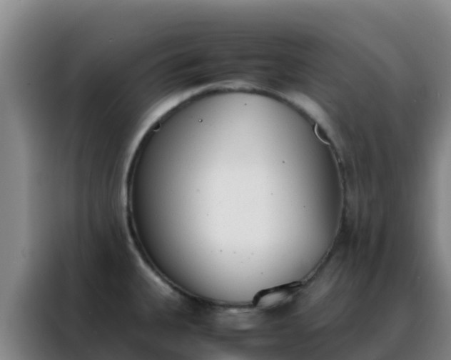 X0000088151335200705211148