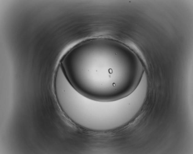 X0000088151336200705211148