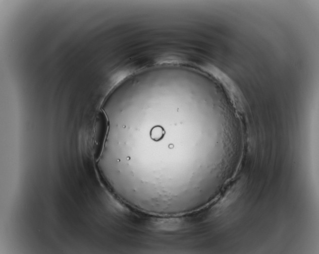 X0000088151337200705211148