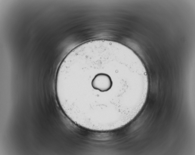 X0000088151338200705211148