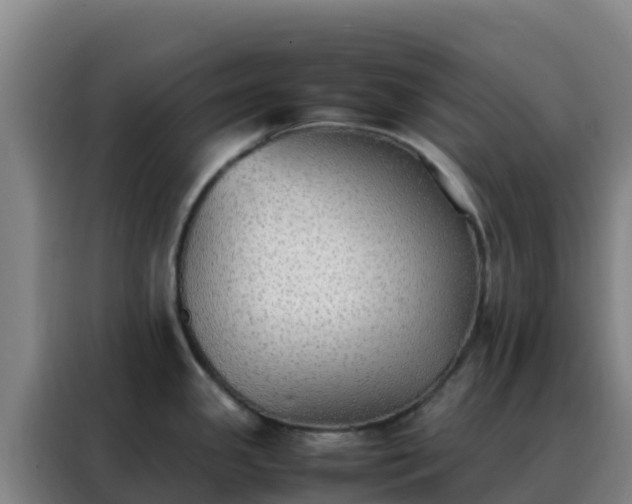 X0000088151341200705211148