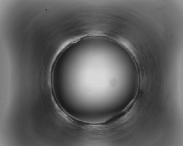 X0000088151342200705211148