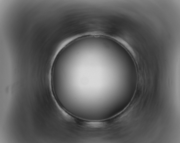 X0000088151343200705211148