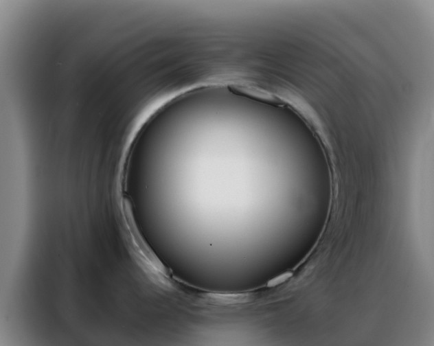 X0000088151344200705211148