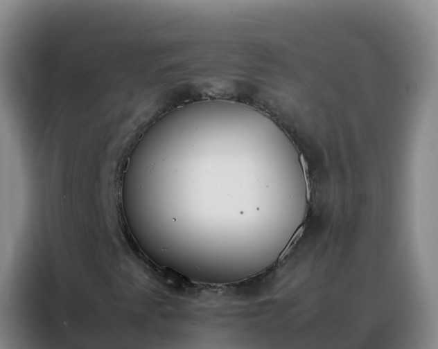 X0000088151345200705211147