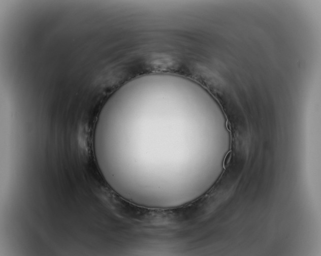 X0000088151346200705211147