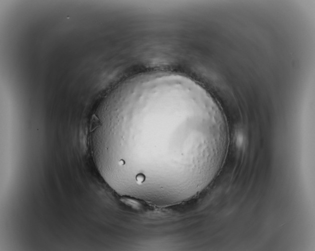 X0000088151348200705211147