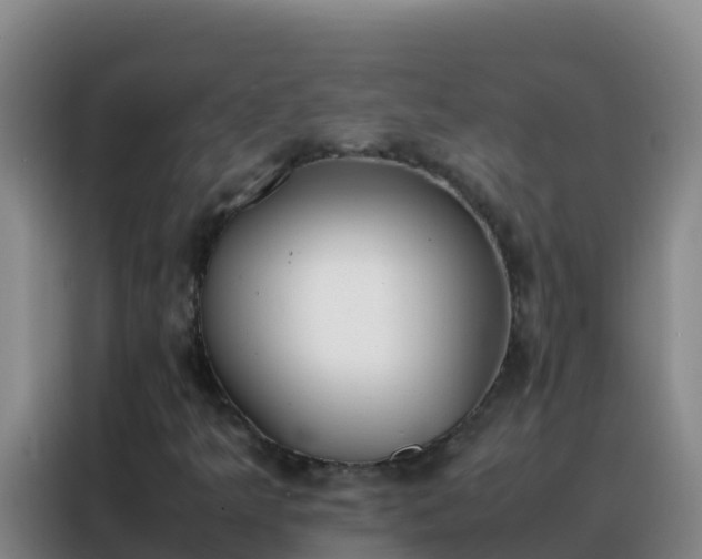 X0000088151349200705211147