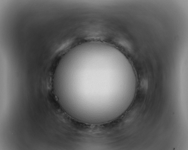 X0000088151350200705211147