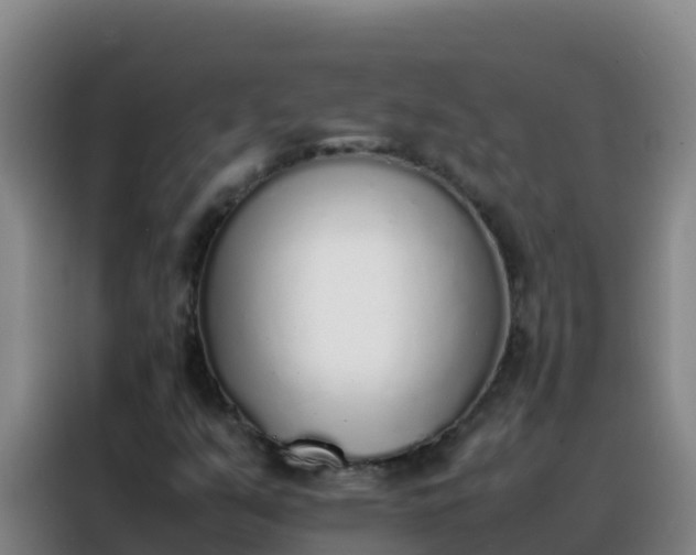 X0000088151351200705211147