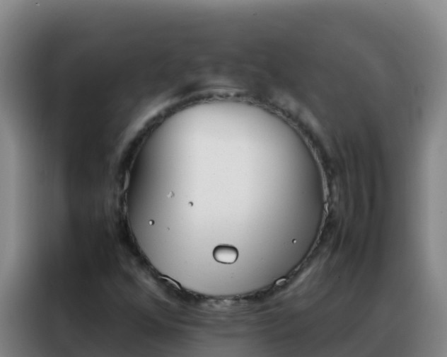 X0000088151352200705211147