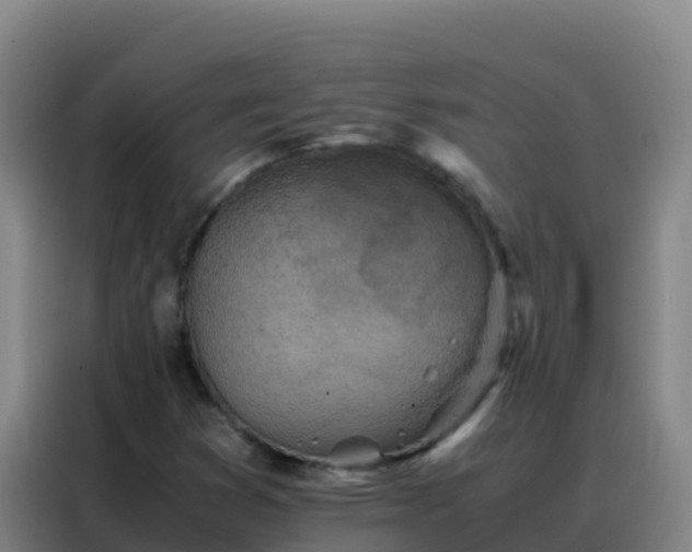 X0000088151353200705211147