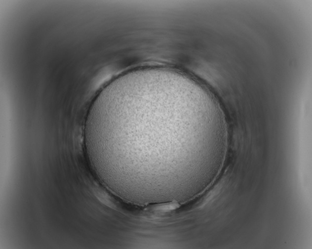 X0000088151355200705211147