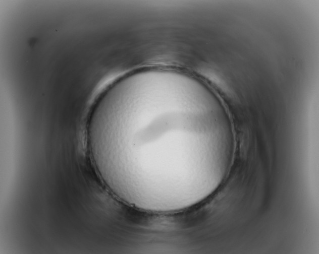 X0000088151358200705211147