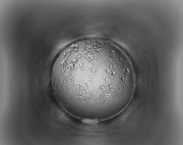 X0000088151359200705211147