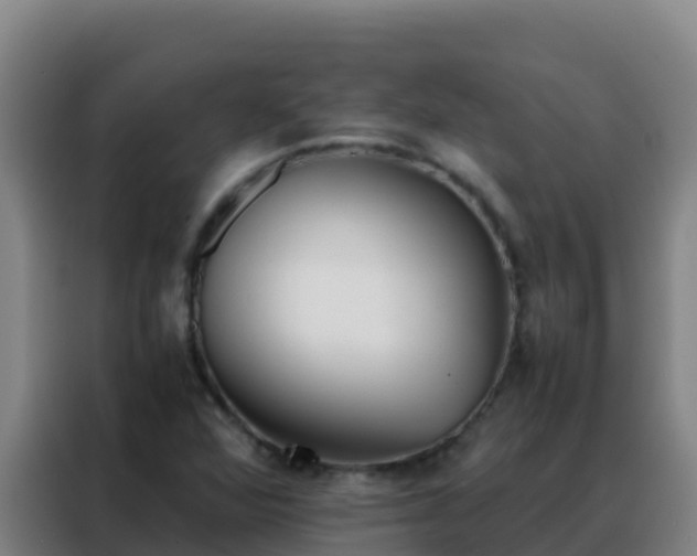 X0000088151360200705211147