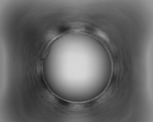 X0000088151361200705211147