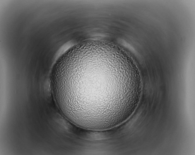 X0000088151362200705211147