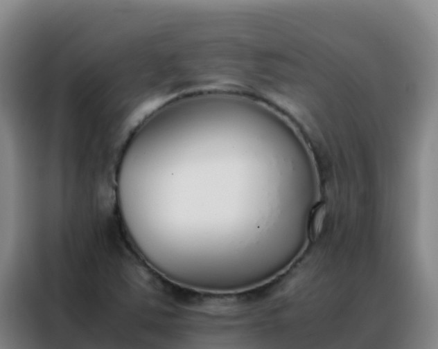 X0000088151363200705211147