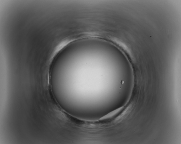 X0000088151365200705211147