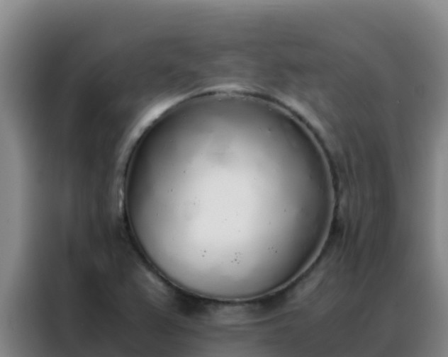 X0000088151367200705211147