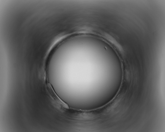 X0000088151368200705211147