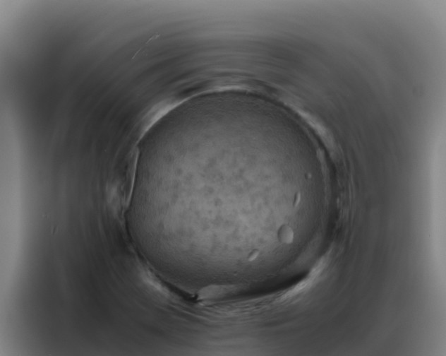 X0000088151369200705211147