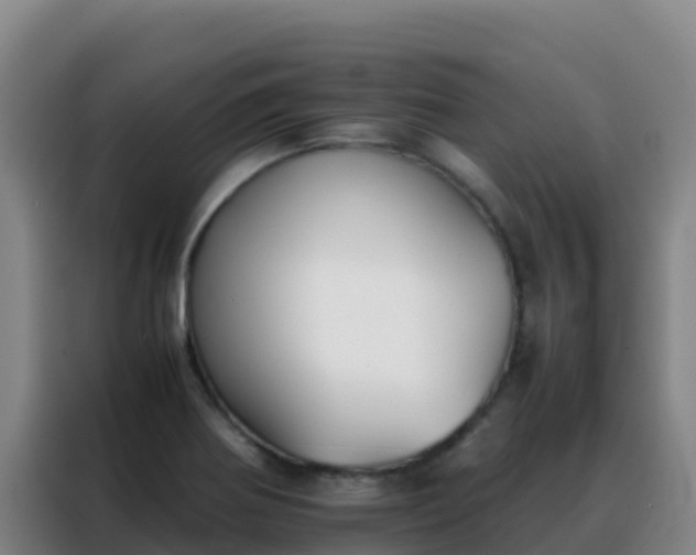 X0000088151370200705211147