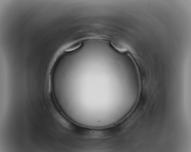 X0000088151371200705211147