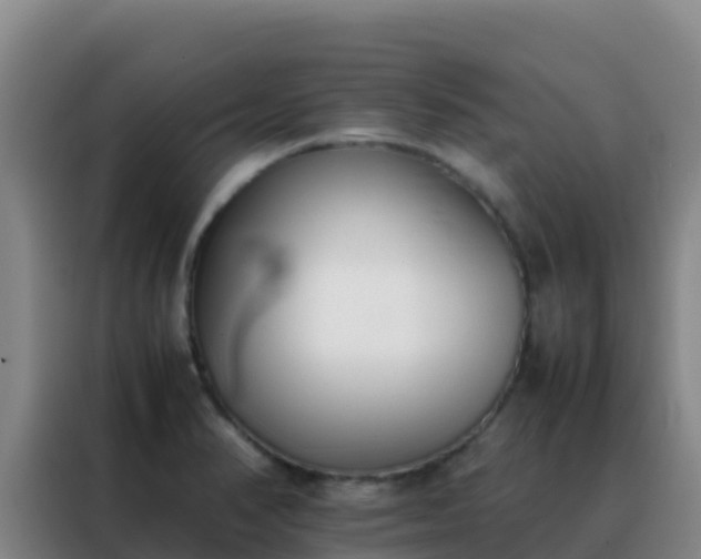 X0000088151374200705211147