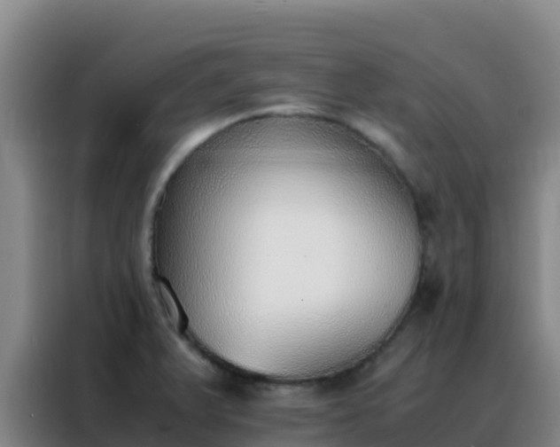 X0000088151375200705211147