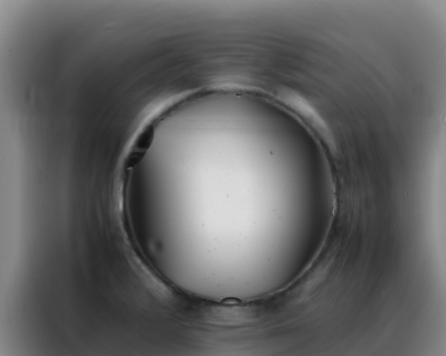 X0000088151376200705211147