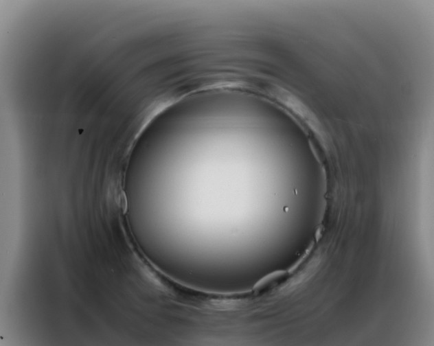 X0000088151377200705211147