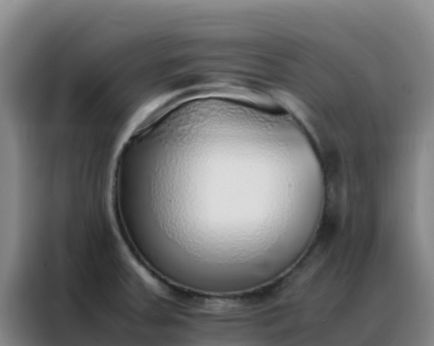 X0000088151379200705211147