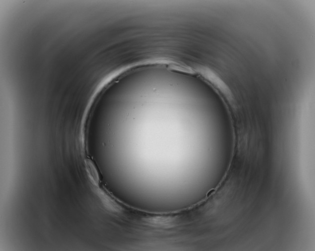 X0000088151380200705211147