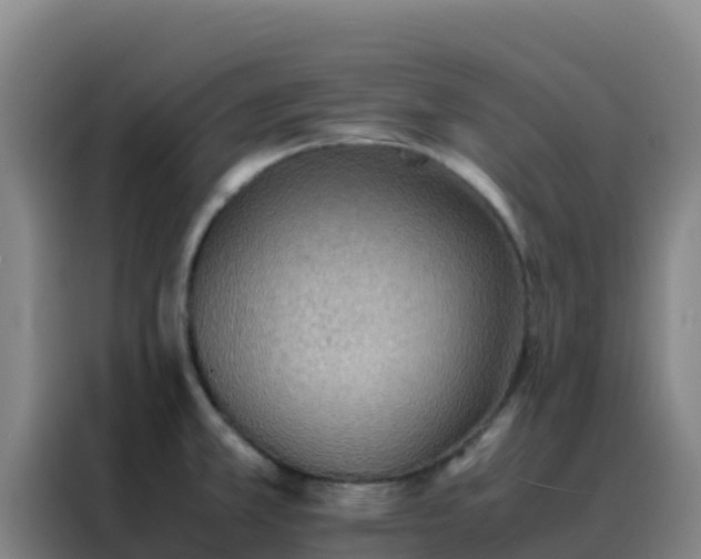 X0000088151381200705211147