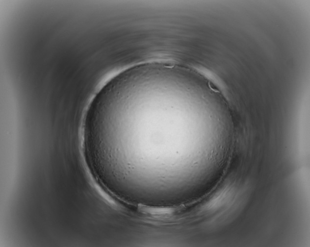 X0000088151383200705211147