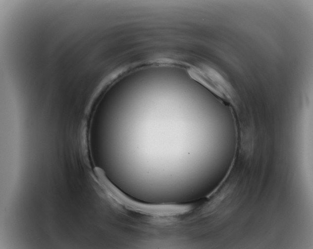 X0000088151384200705211147