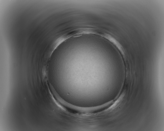 X0000088151385200705211147