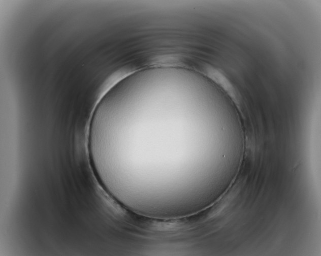 X0000088151386200705211147