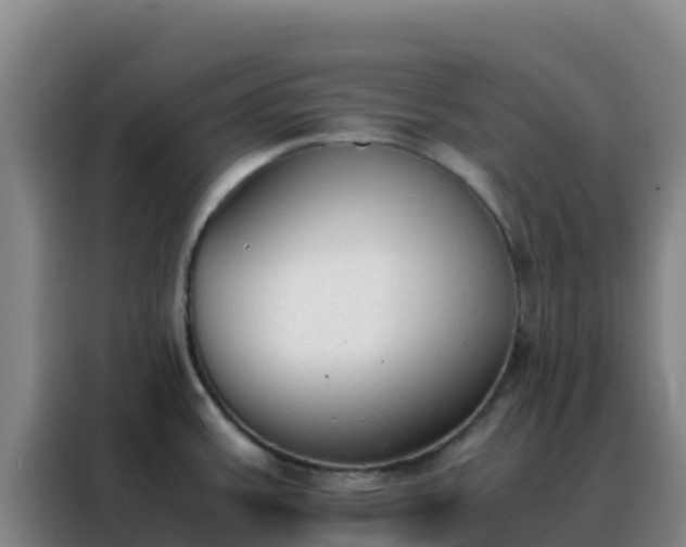 X0000088151387200705211147