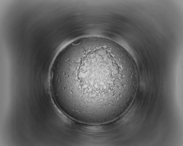 X0000088151388200705211147