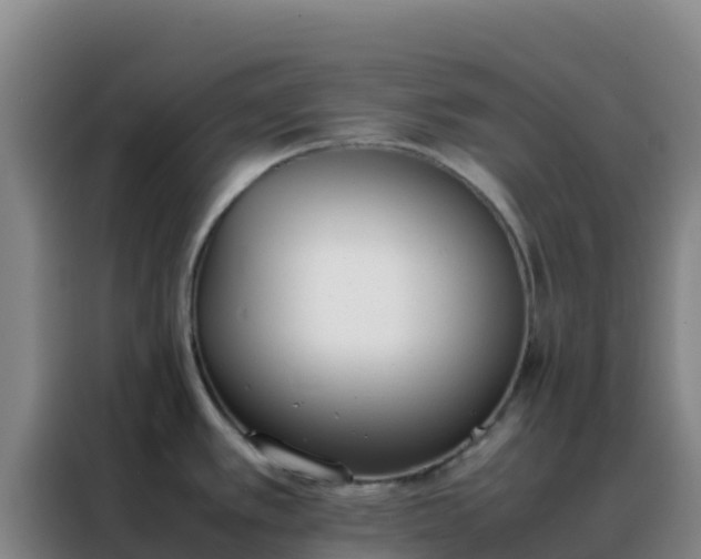 X0000088151389200705211147