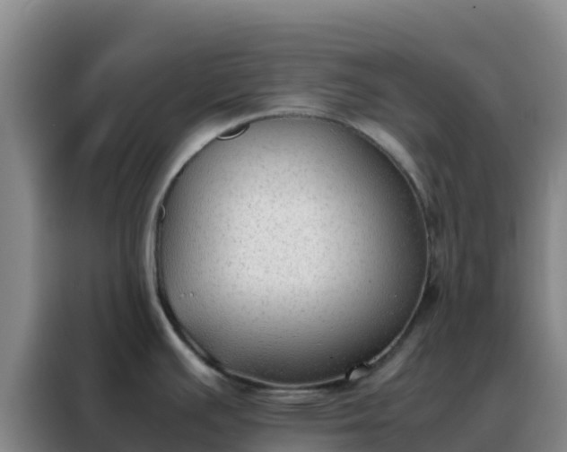 X0000088151391200705211147