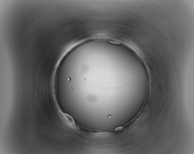 X0000088151392200705211147