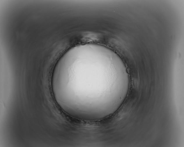 X0000088151393200705211146