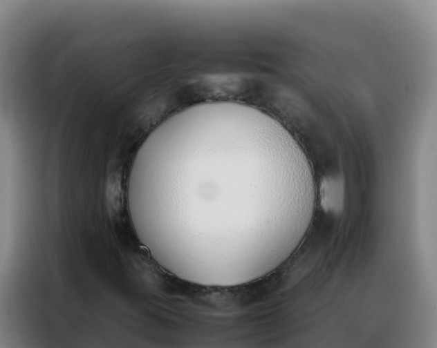 X0000088151395200705211146