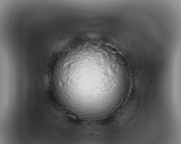 X0000088151397200705211146