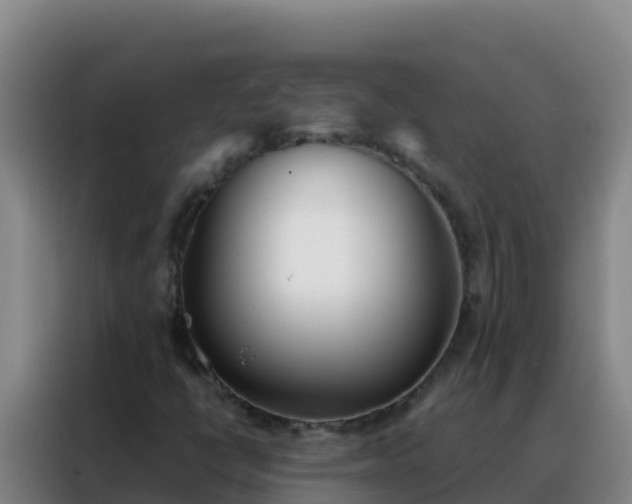 X0000088151398200705211146